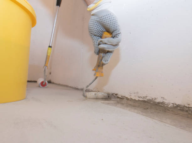 Best Fumigation Services  in Santa Rosa, CA